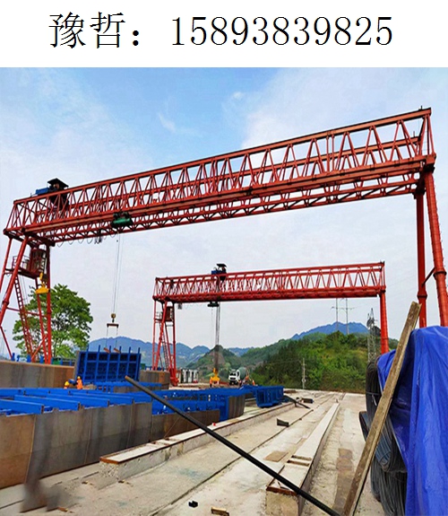 9825豫哲龙门吊143